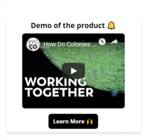 Video Conversion Booster 